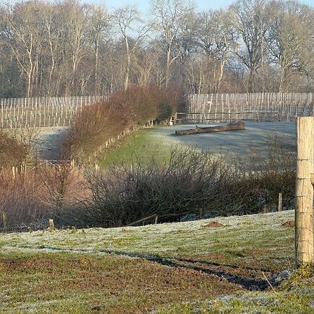 Вилла Potts Farm Тентерден Экстерьер фото